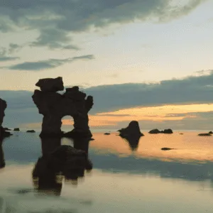 Read more about the article Emotional Resilience