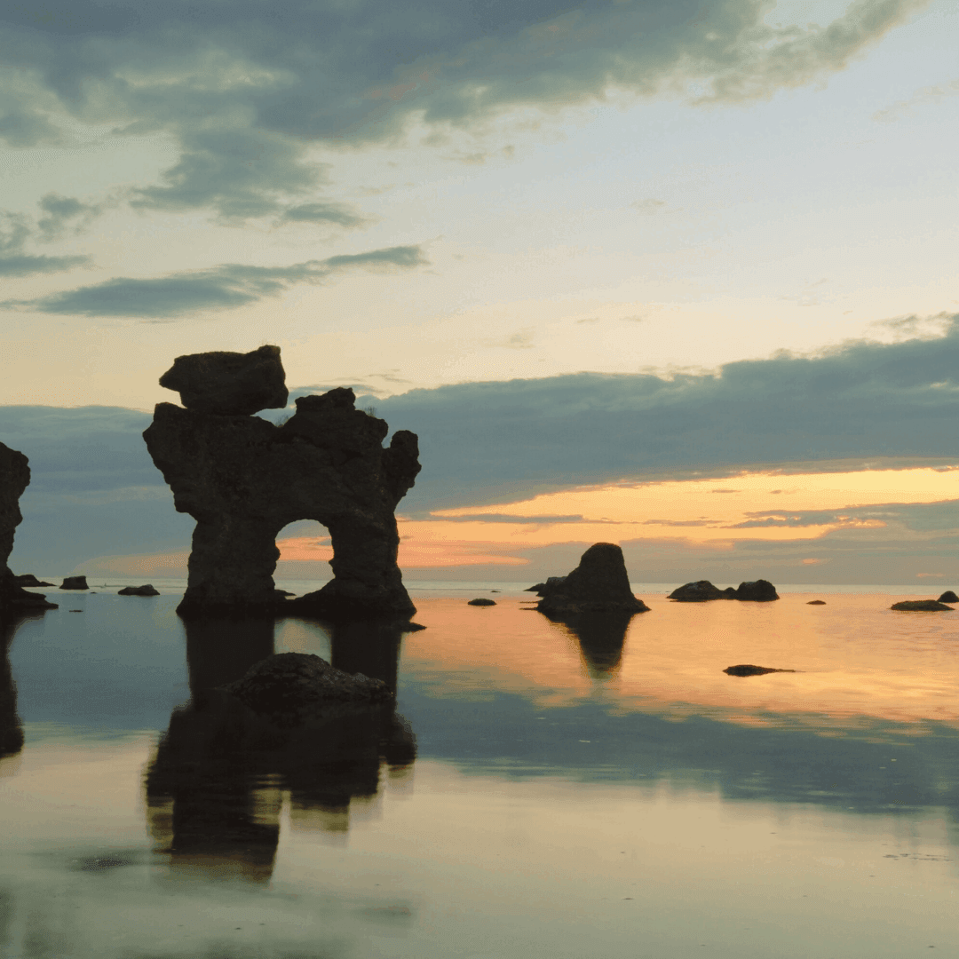 Read more about the article Emotional Resilience